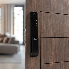 Main Door Locks