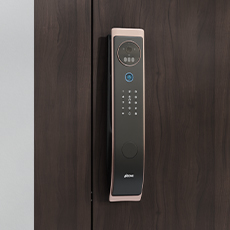 Face-Palm Recognition Door Locks